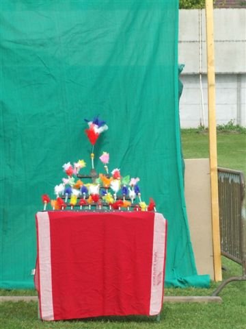 Image has been resized